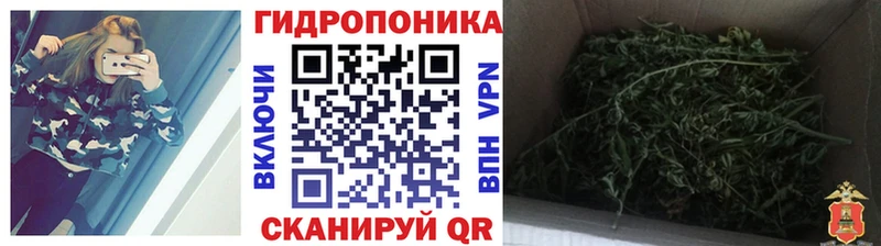 Наркошоп купить Каннабис APVP Гашиш Амфетамин Cocaine МЕФ Юрьев-Польский