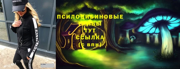 гидропоника Каменка