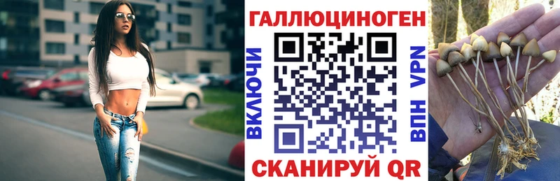 Псилоцибиновые грибы GOLDEN TEACHER  Купить где  Юрьев-Польский 